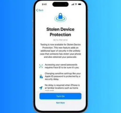 瑞金苹果授权维修店分享被盗设备保护功能开启方法 