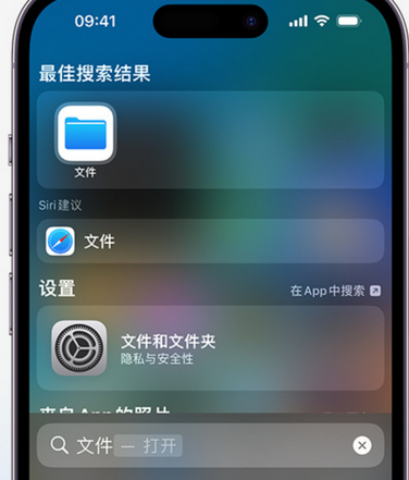 瑞金apple维修中心分享iPhone文件应用中存储和找到下载文件 