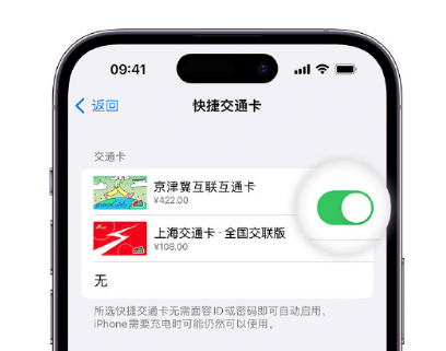 瑞金apple维修点分享iPhone上更换Apple Pay快捷交通卡手绘卡面 