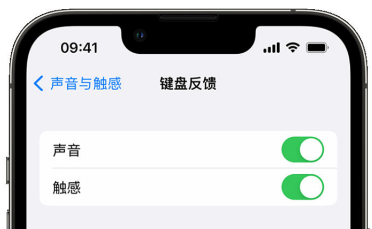 瑞金苹果手机维修分享iPhone 14触感键盘使用方法 