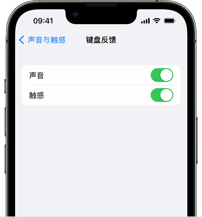 瑞金苹果14维修店分享如何在 iPhone 14 机型中使用触感键盘 