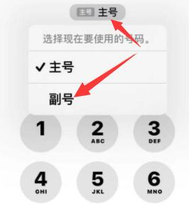 瑞金苹果14维修店分享iPhone 14 Pro Max使用副卡打电话的方法 