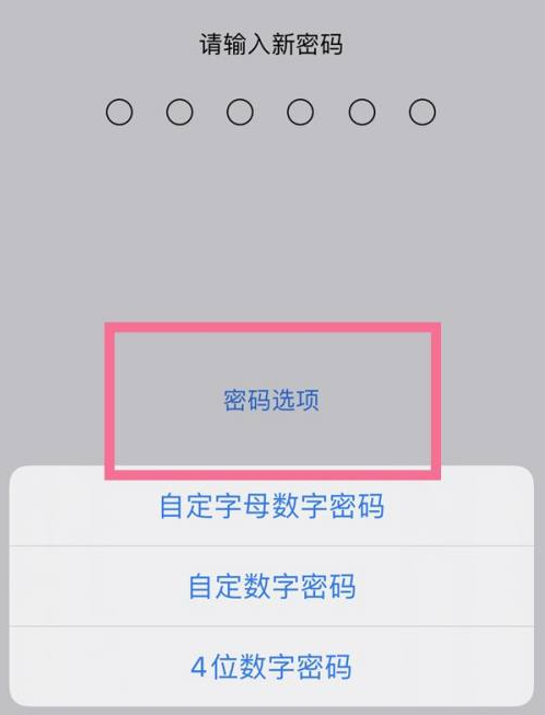 瑞金苹果14维修分享iPhone 14plus设置密码的方法 