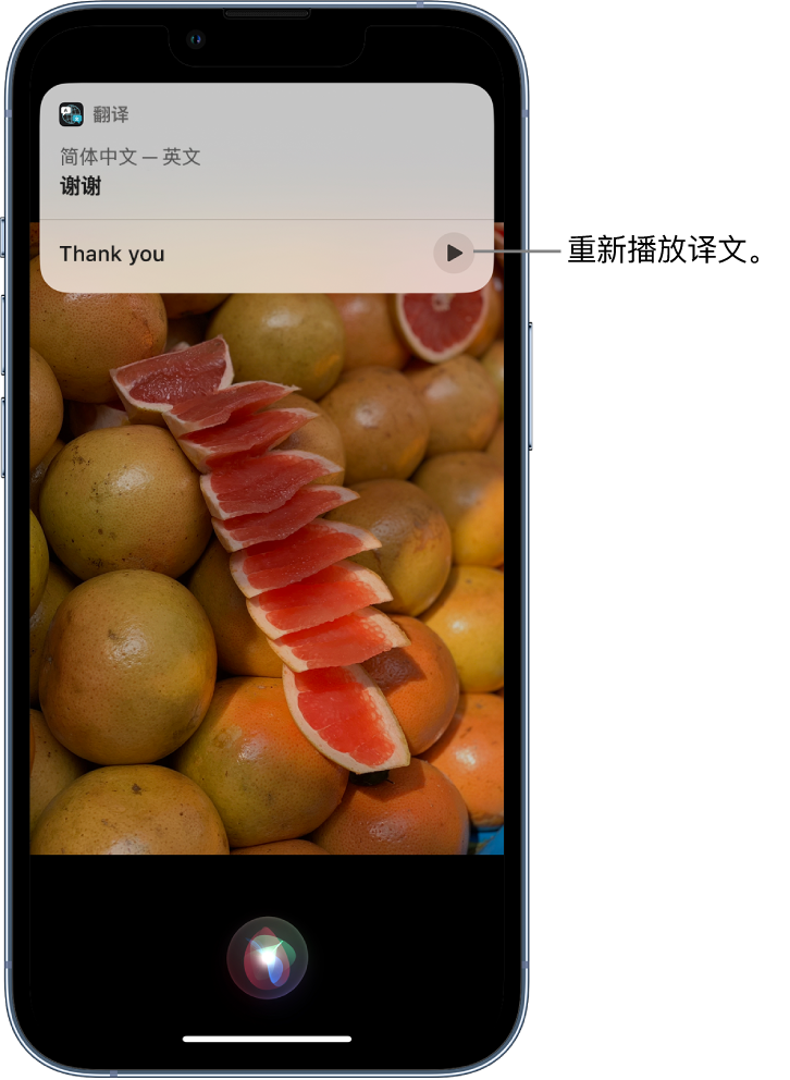 瑞金苹果14维修分享 iPhone 14 机型中使用 Siri：了解 Siri 能帮你做什么 