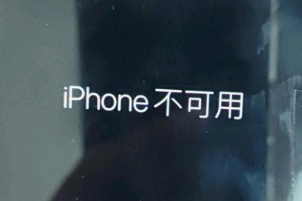 瑞金苹果服务网点分享锁屏界面显示“iPhone 不可用”如何解决 