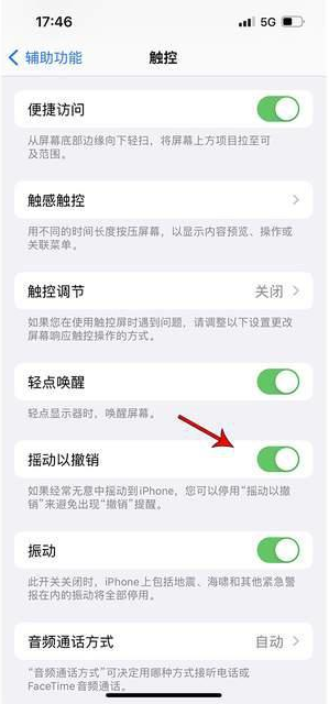 瑞金苹果手机维修分享iPhone手机如何设置摇一摇删除文字 